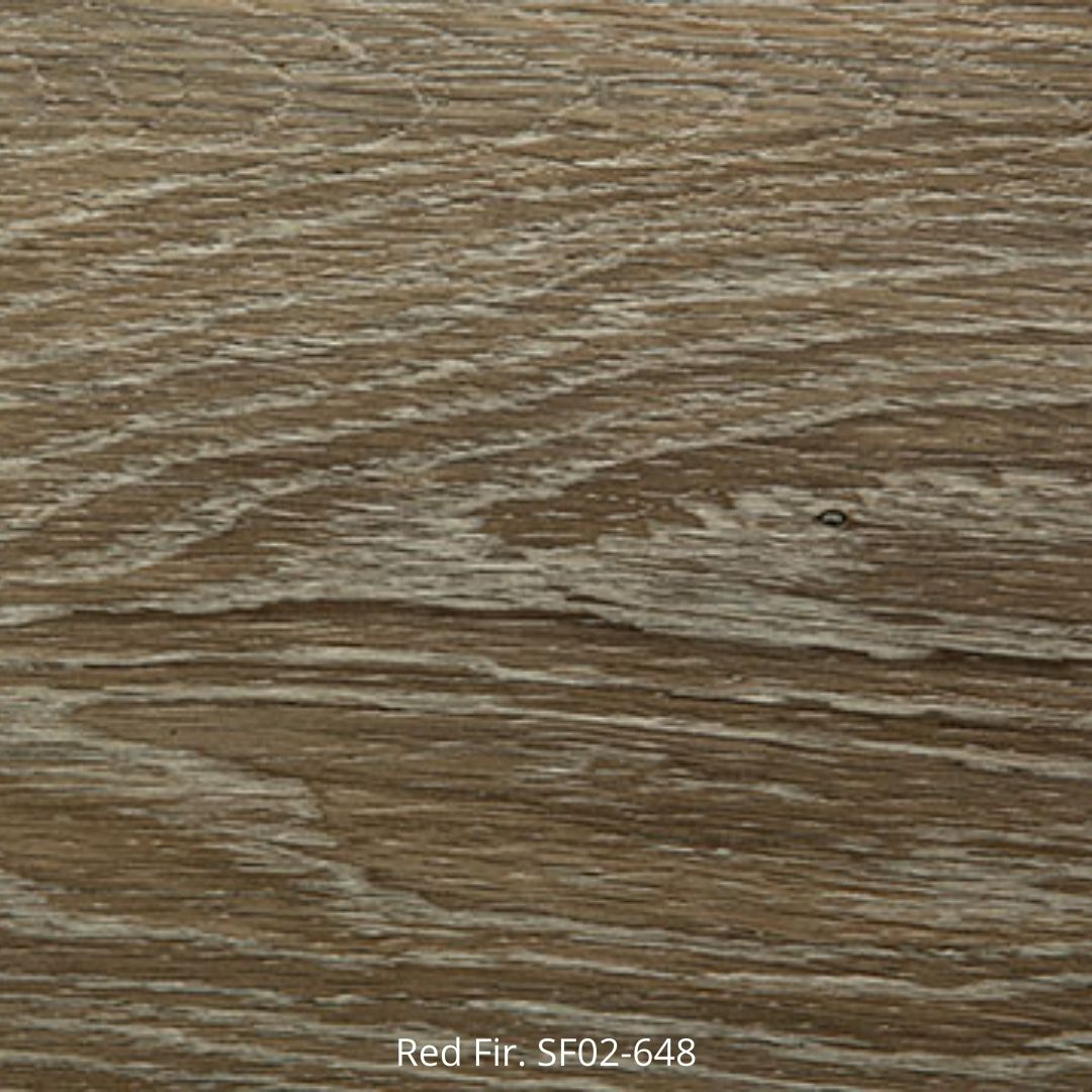 Sierra Fir - Image 5