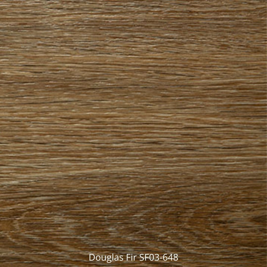 Sierra Fir - Image 2