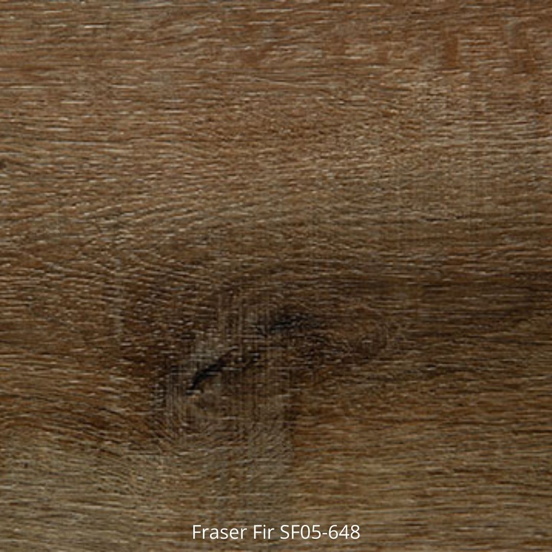 Sierra Fir - Image 3