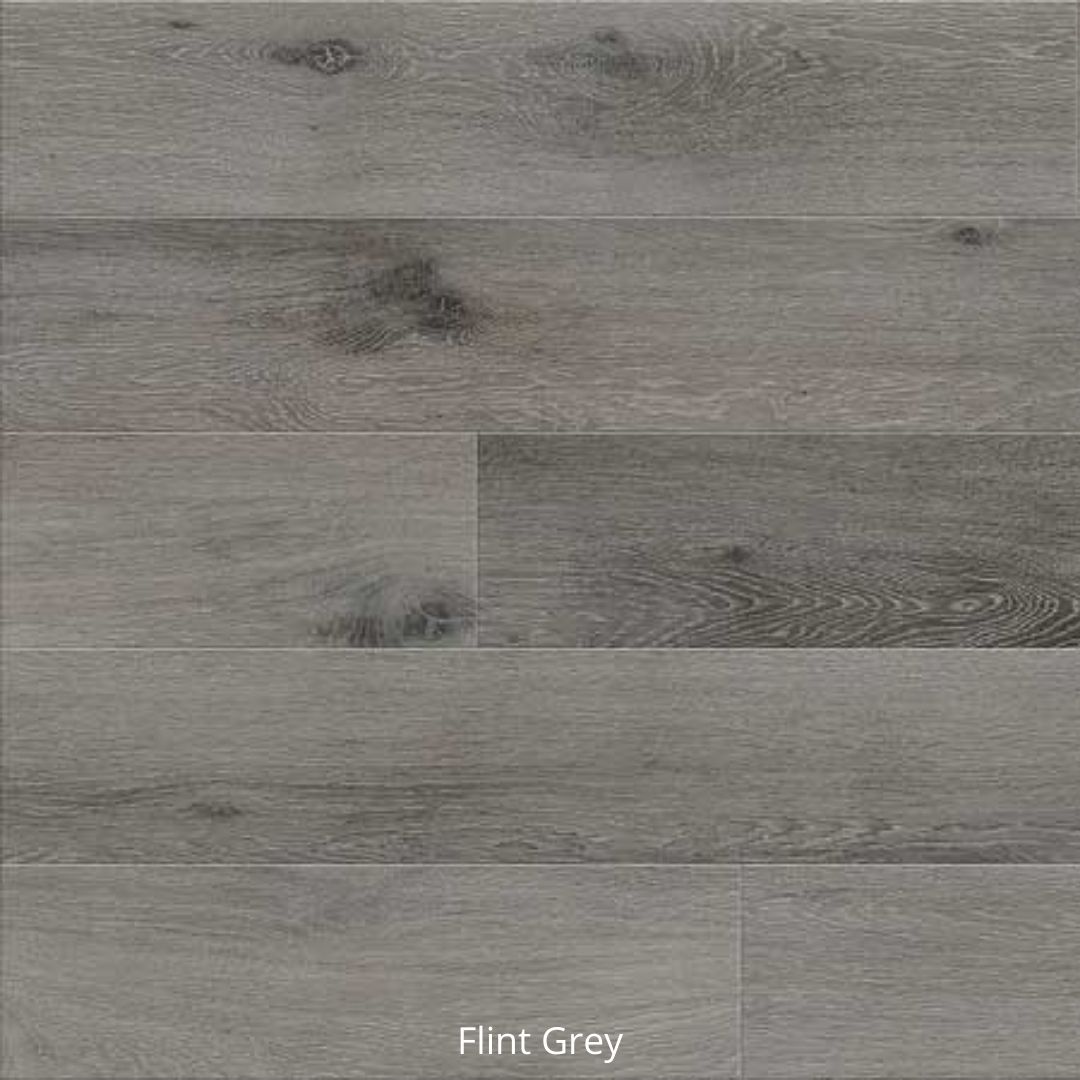 Attraxion - Image 8