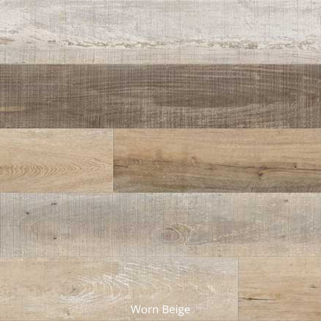Attraxion - Image 4